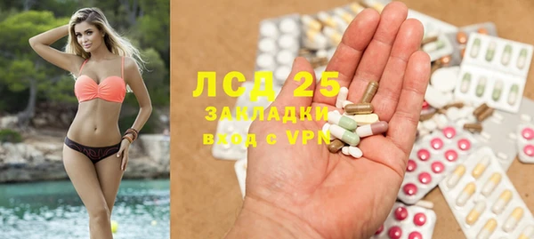 винт Алзамай