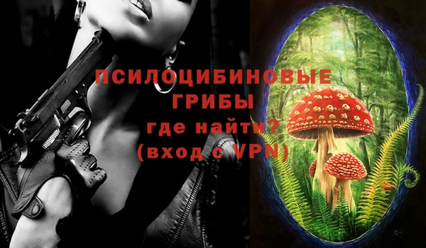 винт Алзамай